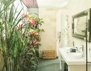 Bamboo BALI